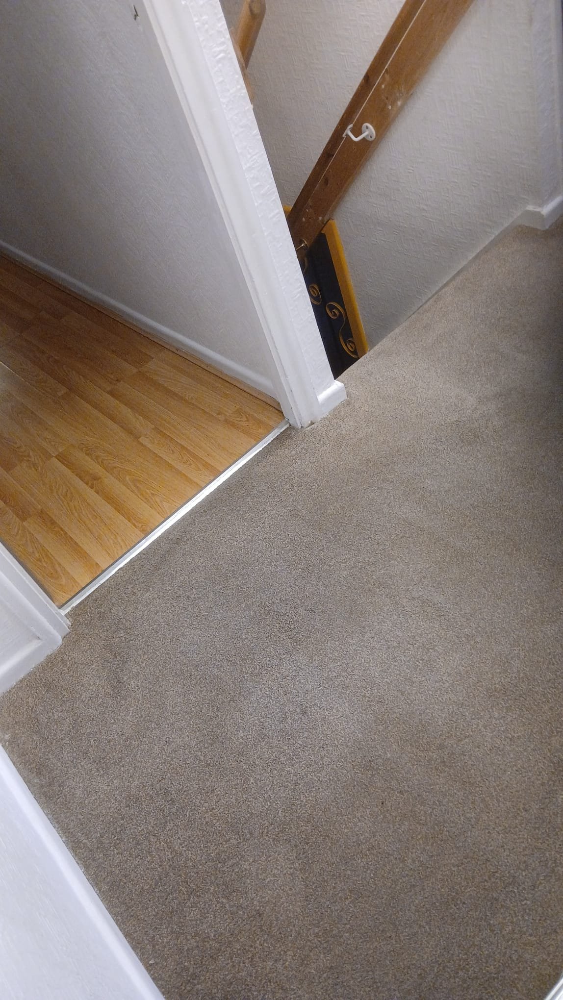 Carpet Cleaning by Absolute Prestige Cleaning in Coventry