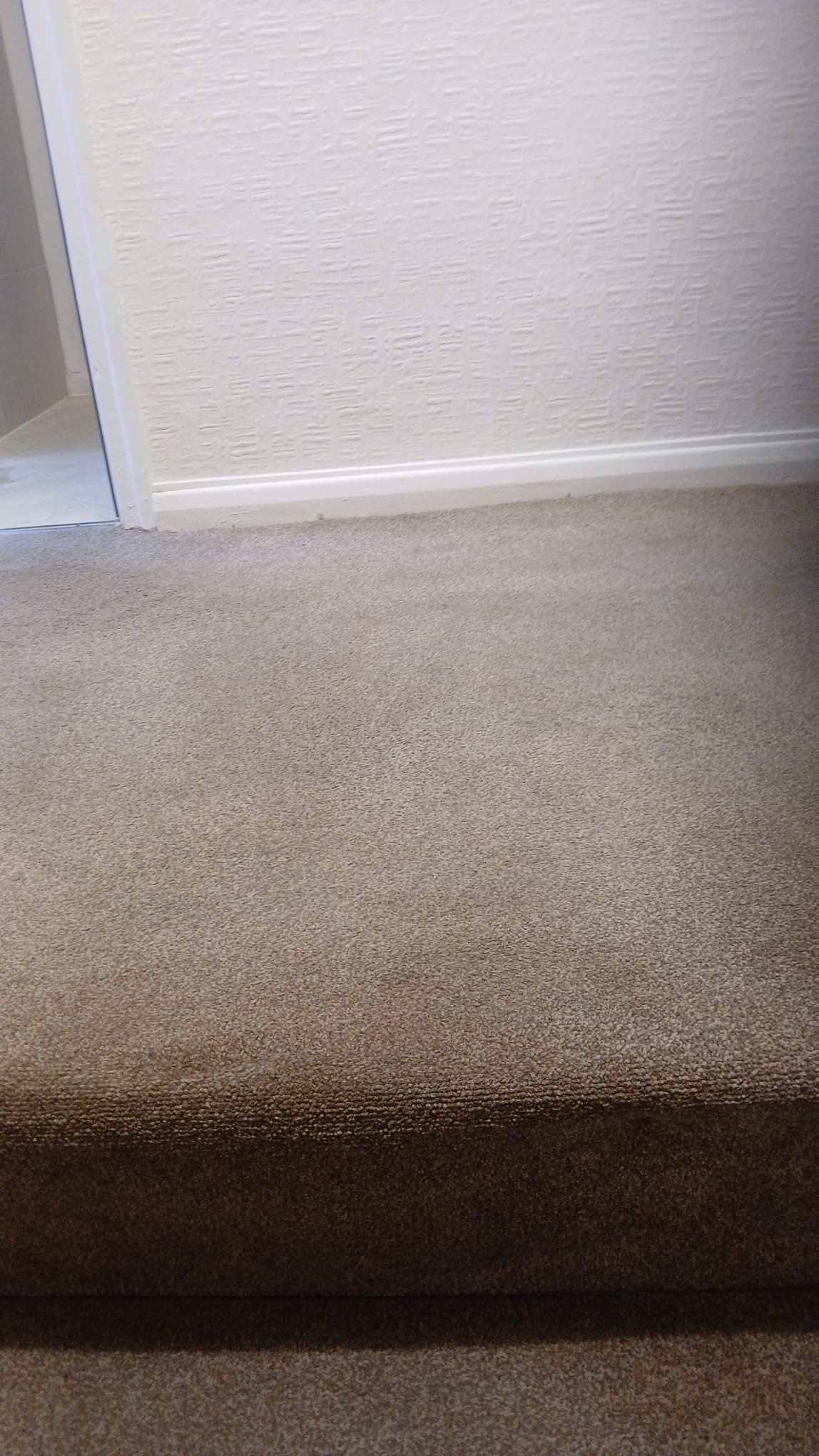 Upholstery Cleaning by Absolute Prestige Cleaning in Coventry