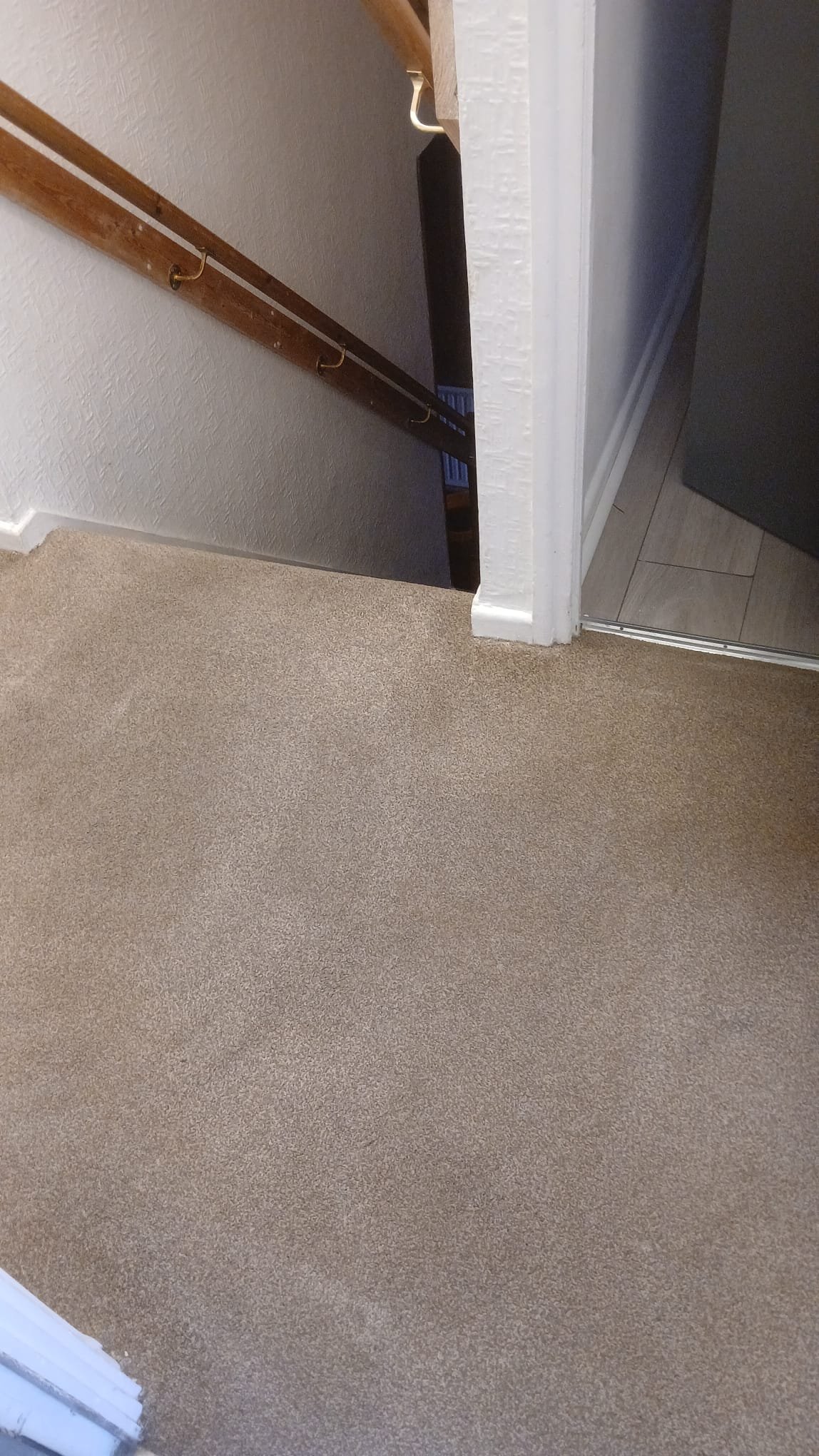 Rug Cleaning by Absolute Prestige Cleaning in Coventry