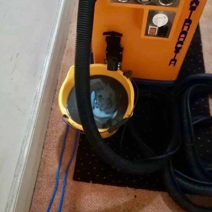 Close detail of carpet pile cleaned and groomed